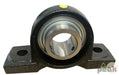 11.02.0250 Self-Lube P/Block Bearing Bearings And Transmissions