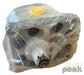 2589-2054 Gear Pump Hydraulic Pumps And Motors